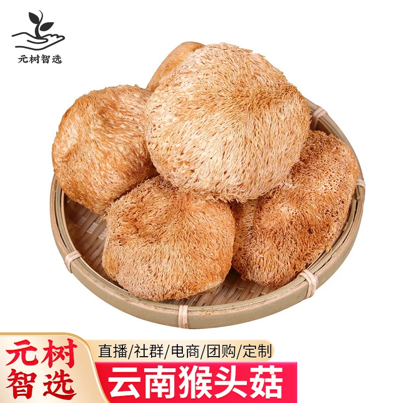 云南猴头菇批发干货养胃煲汤佳品特产新货无熏硫甄选优质可食用菌