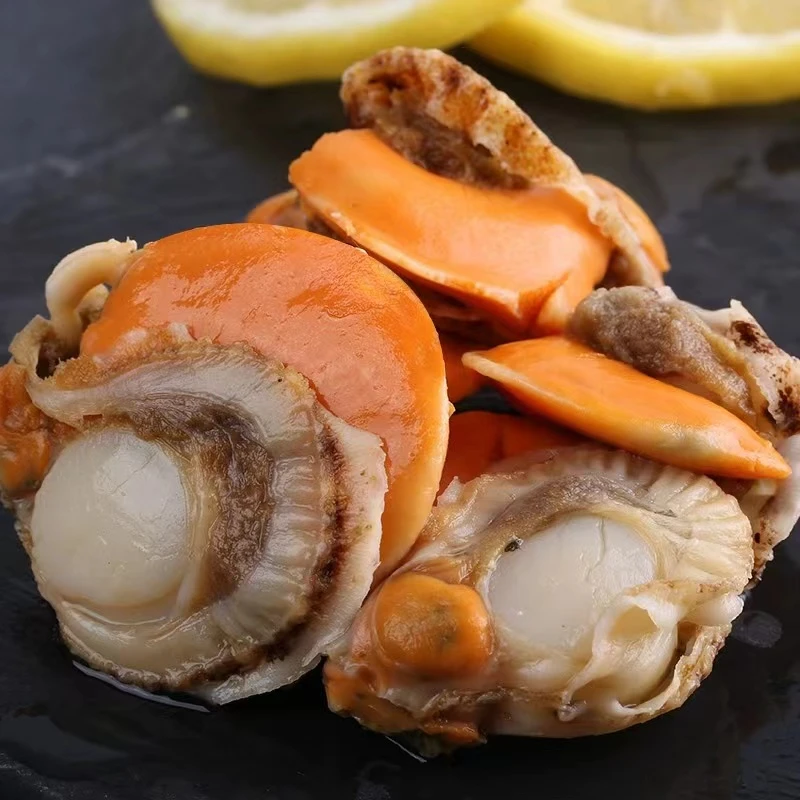 (大号)新鲜扇贝肉 带膏带黄3斤带保鲜冰 顺丰发货