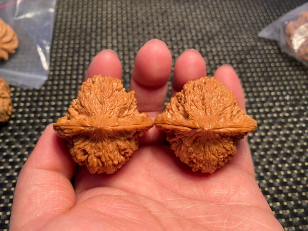 文玩核桃精品满天星狮子头老树手盘打底