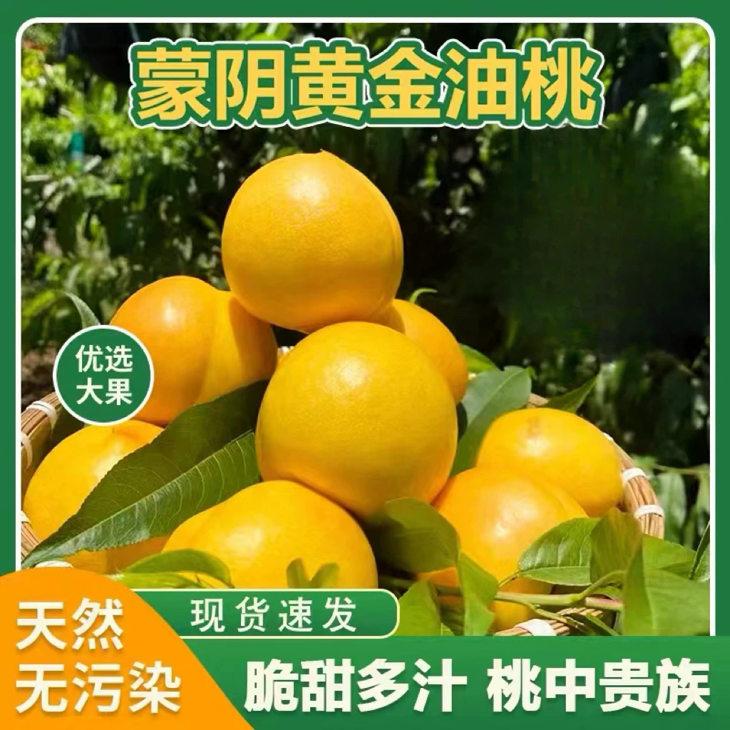 【顺丰包邮】山东蒙阴黄金油桃芒果桃香甜爆汁现摘