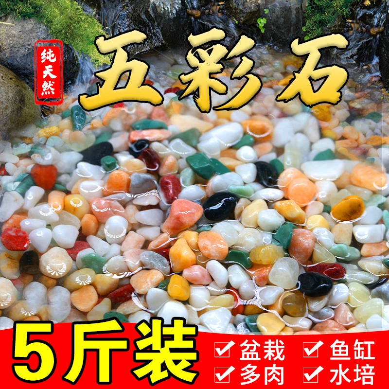 天然无彩色小石头水培郁金香垫底养花石子多肉铺面石鱼缸造景底沙