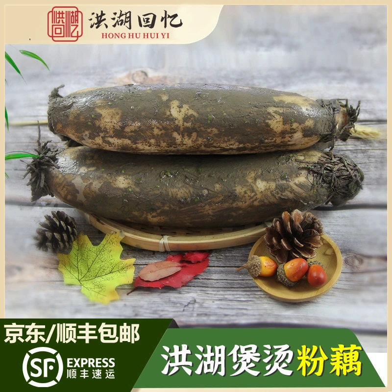 正宗洪湖煲汤粉藕 新鲜现挖莲藕红莲藕 3斤5斤 湖北特产