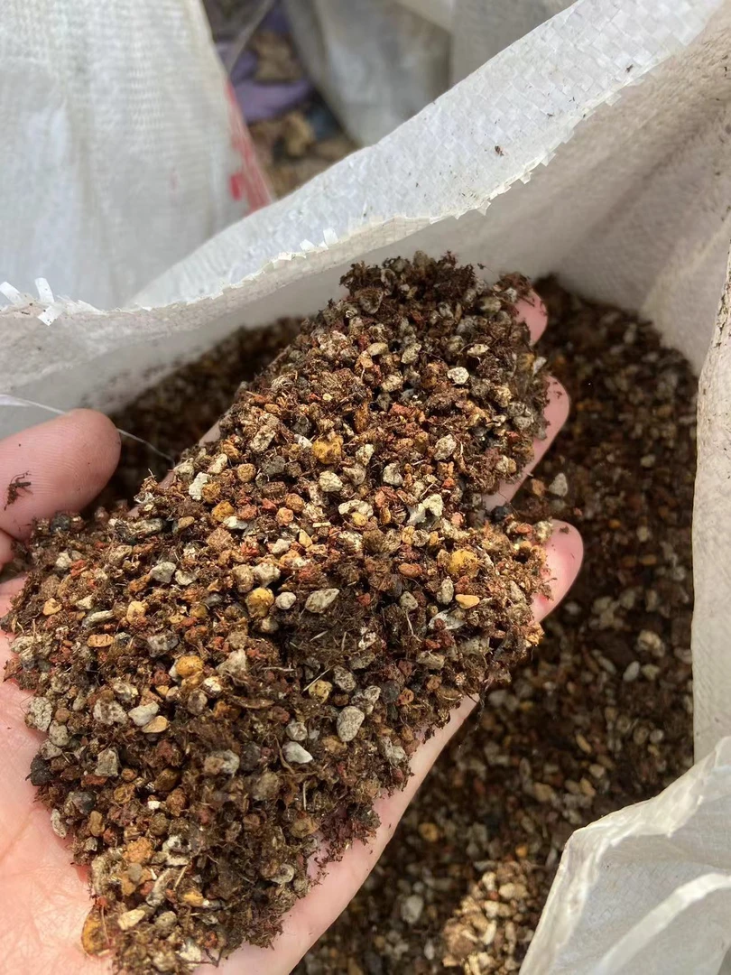 多肉植物专用土