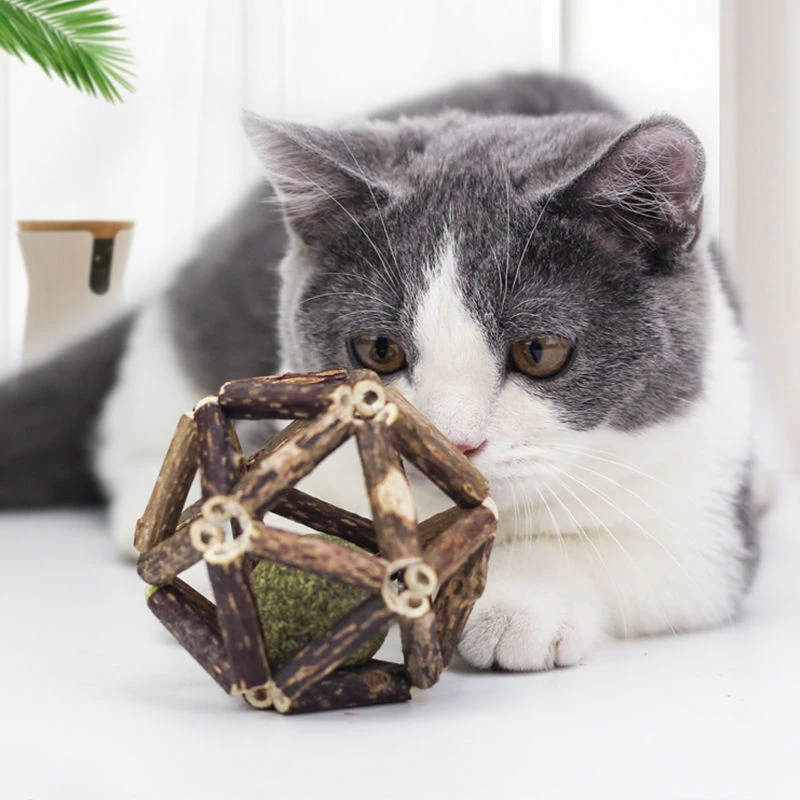 猫薄荷玲珑球木天蓼球猫咪玩具玩耍逗猫玩具球大号磨牙铃铛球
