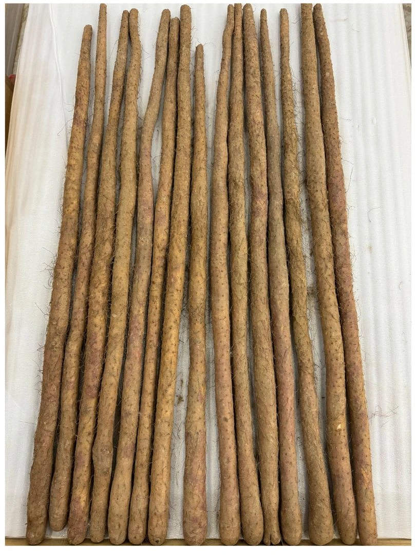 鸡皮糙铁棍陈集山药山东菏泽礼品盒装网套特级铁棍山药8090100cm