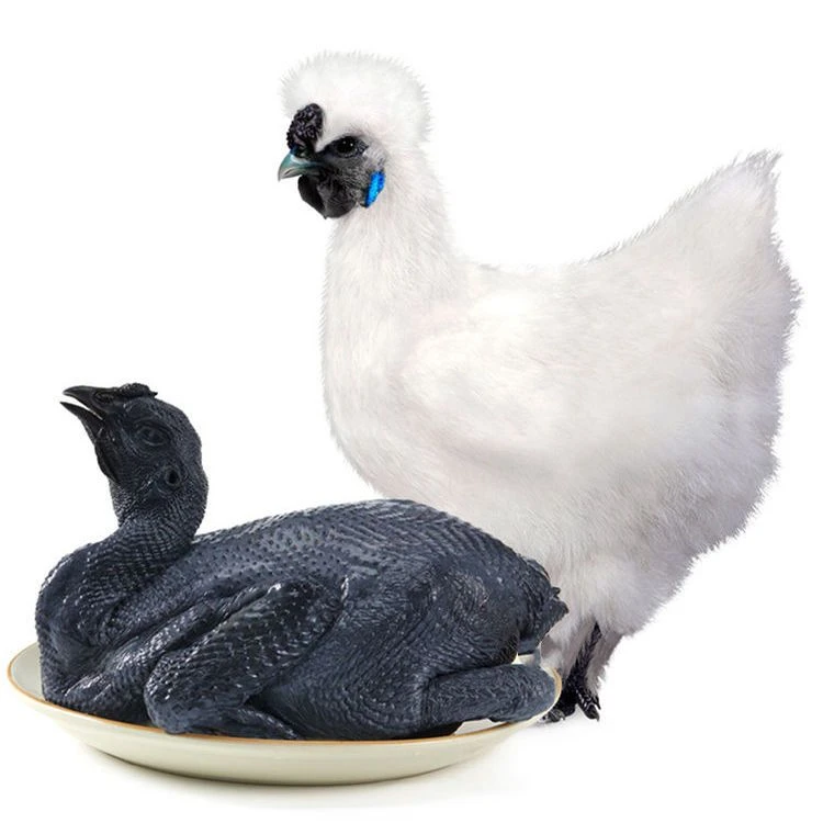 港点湾现杀乌鸡买1只送1只食用散养正宗饲养乌骨鸡煲汤1250g*2只