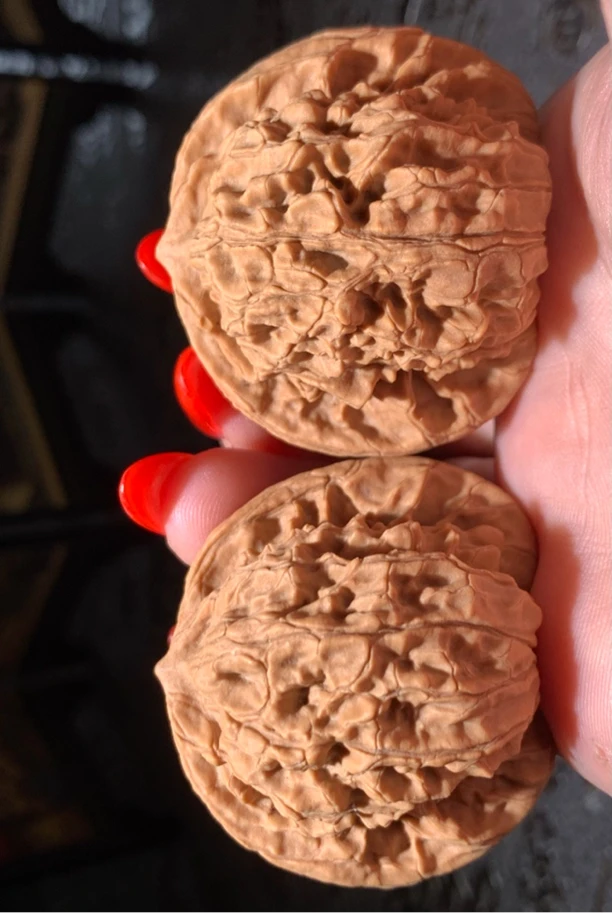 老款盘龙纹狮子头