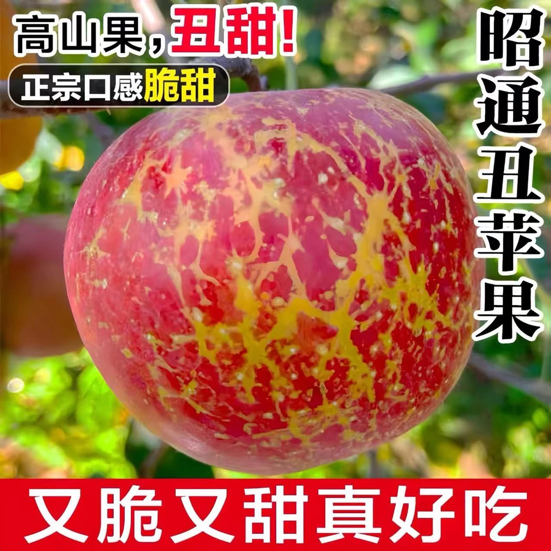搭建小铺-苹果冰糖心苹果脆甜苹果红苹果新鲜应季