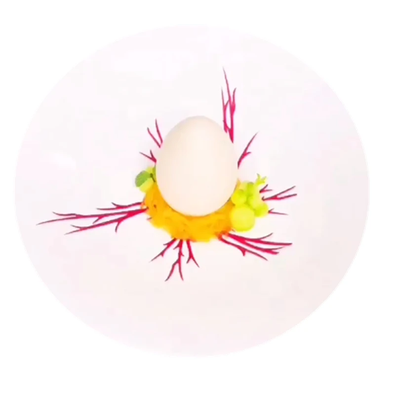 博古斯树枝树杈硅胶模酒店血丝洛分子料理耐高温树模盘底装饰模具