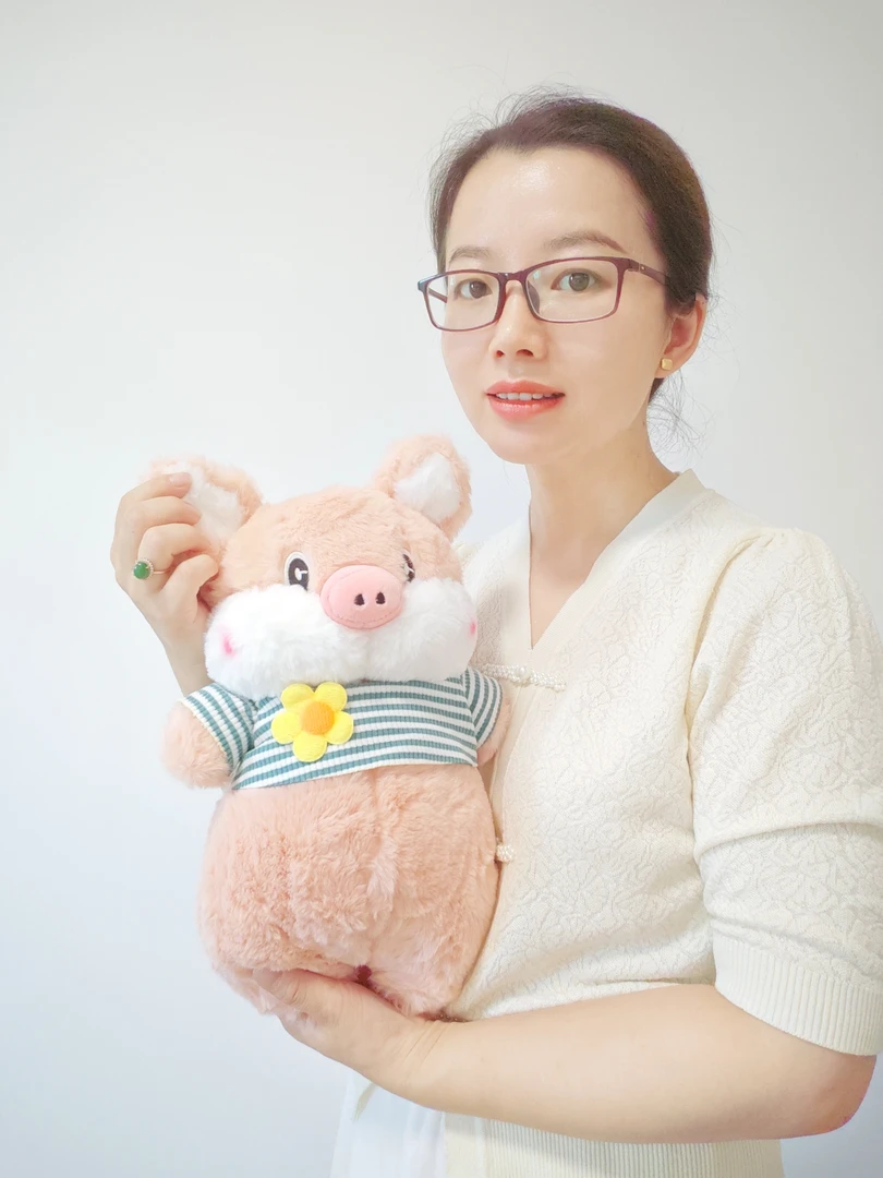 35厘米可爱穿衣猪毛绒玩具公仔布娃娃粉色小猪玩偶儿童少女心娃娃