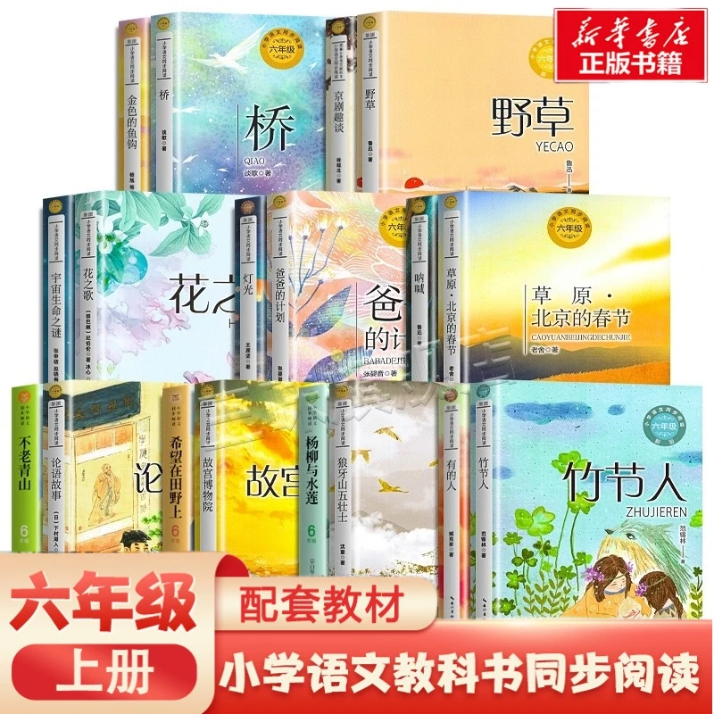 六年级上册必读课外书花之歌竹节人灯光不老青山桥草原北京的春节