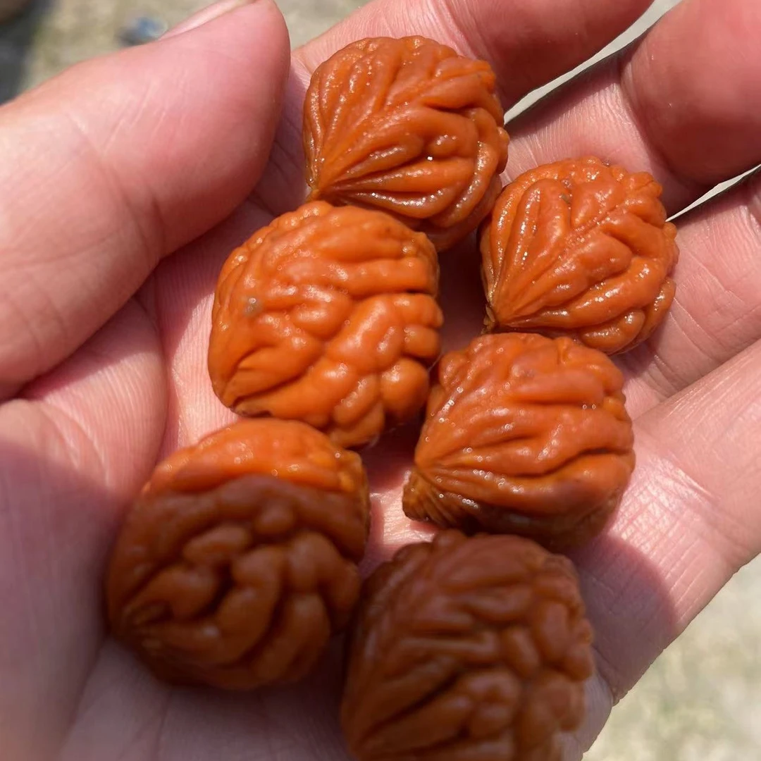 龙纹桃核单籽一颗的价格（直播专用）
