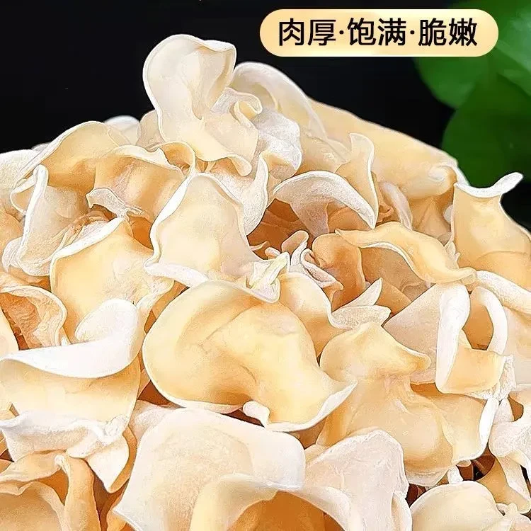 白木耳一斤装东北正宗白玉木耳白木耳干货特产