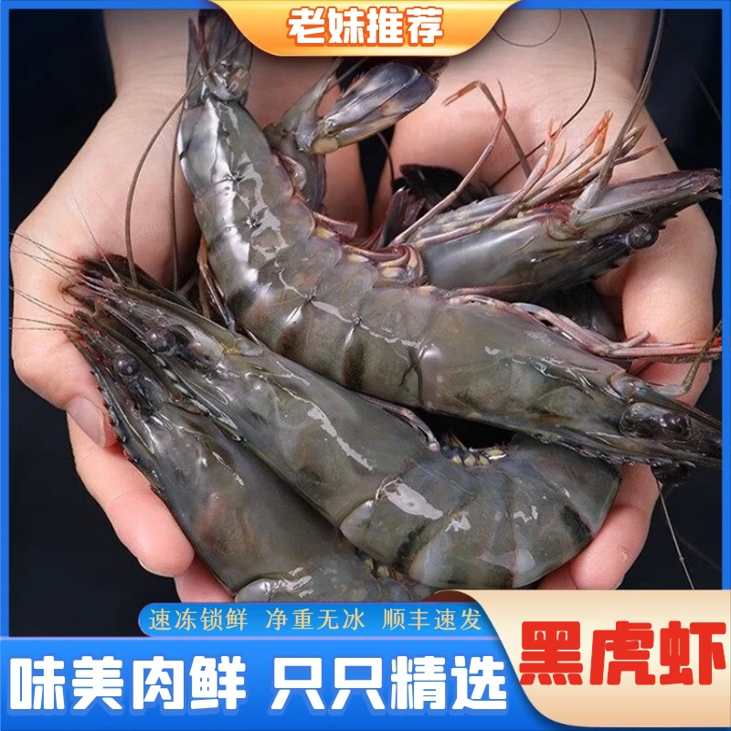 【老妹海鲜】黑虎虾新鲜大虾海虾活冻顺丰老虎虾7-9只/斤整箱1500g