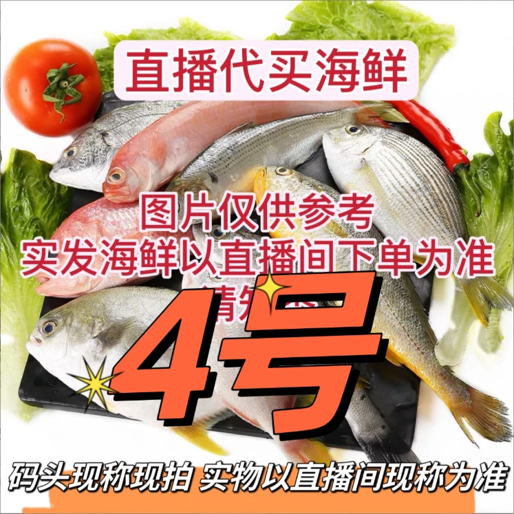 村长❹北海码头直播代买海鱼海虾新鲜海捕（现拍现称速冻锁鲜发货）