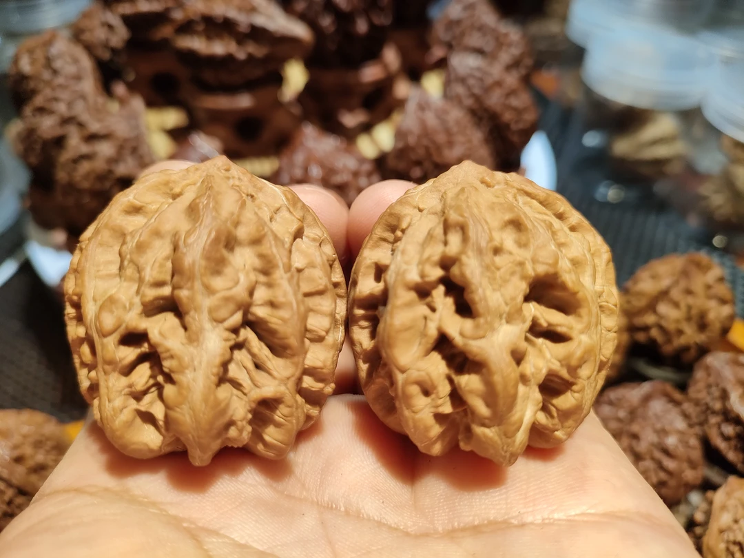 东北野生楸子核桃.帝王