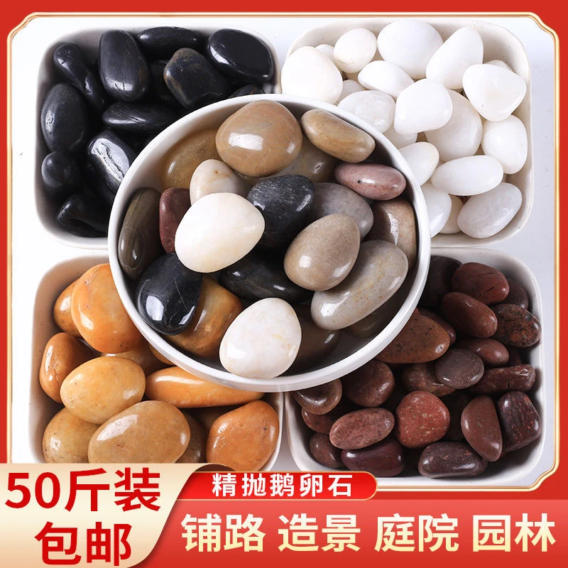鹅卵石2-4cm50斤原石小石子鱼缸花盆鹅软石庭院铺路园艺五彩石头