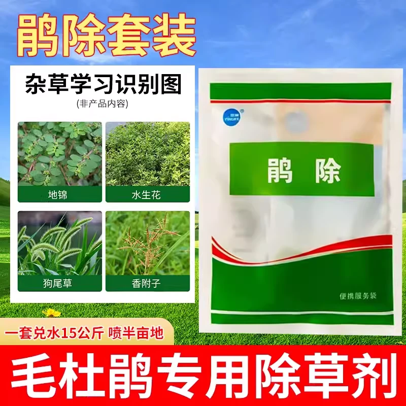 鹃除套装杜鹃毛鹃娟专用除草剂套装除杂草阔叶草尖叶马唐狗尾草药