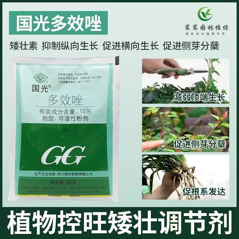 多效唑植物太阳花矮壮素多肉水仙百合矮化剂控旺控徒长生长抑制剂