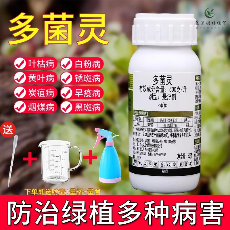 瓶装液体多菌灵多肉黑腐烟煤病月季黑斑杀菌剂绣球兰花药买一送三