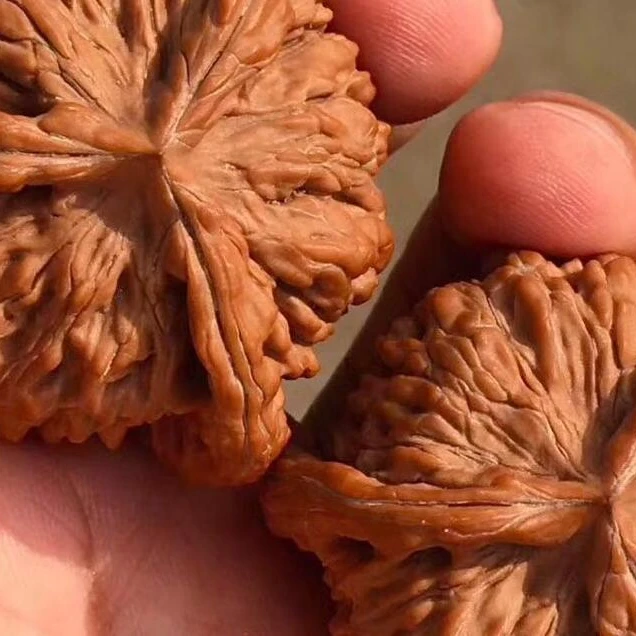 文玩核桃直播间链接