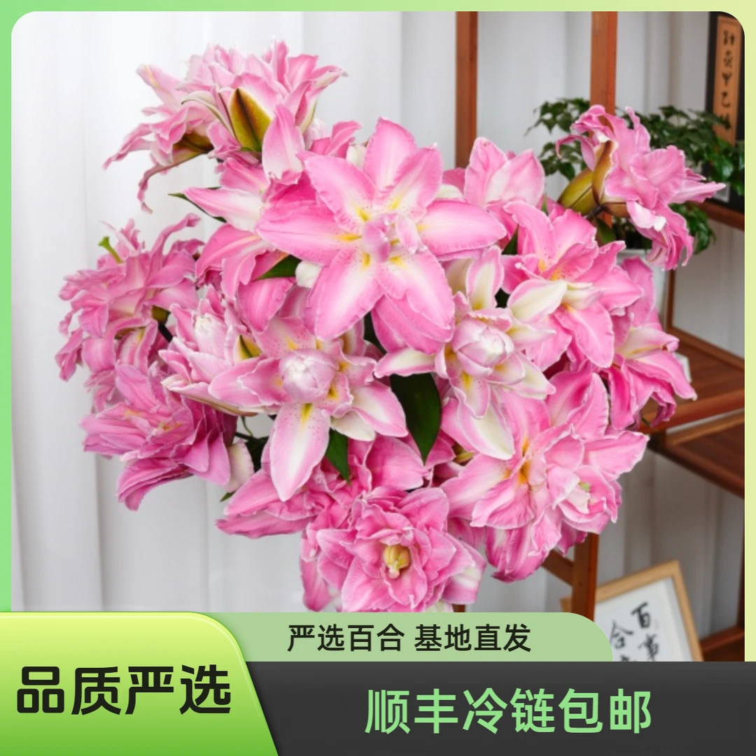 严选鲜花 重瓣百合 清新香味