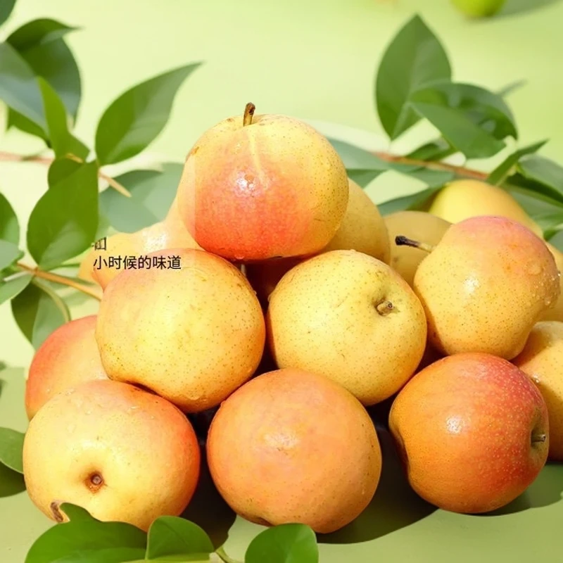 正宗南果梨大山里果树现摘现装细皮南国梨好吃精品水果
