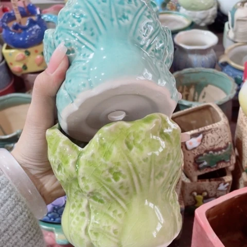 红陶20CM（含）-50CM（不含）正品