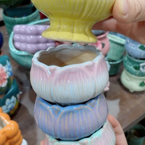 红陶20CM（含）-50CM（不含）正品