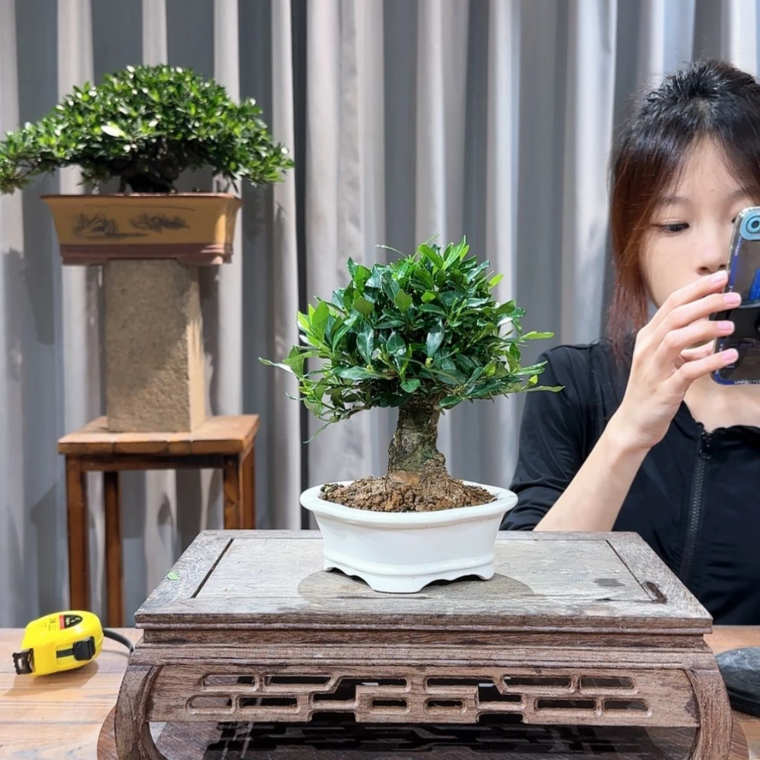 【闪购商品】?*人——111