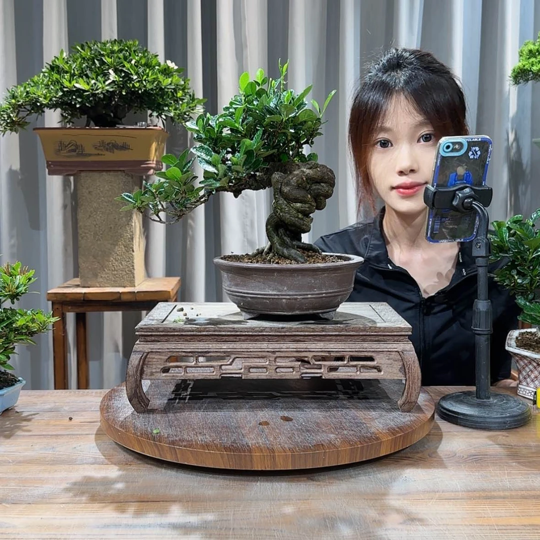 【闪购商品】红陶20CM（含）-50CM（不含）?****4