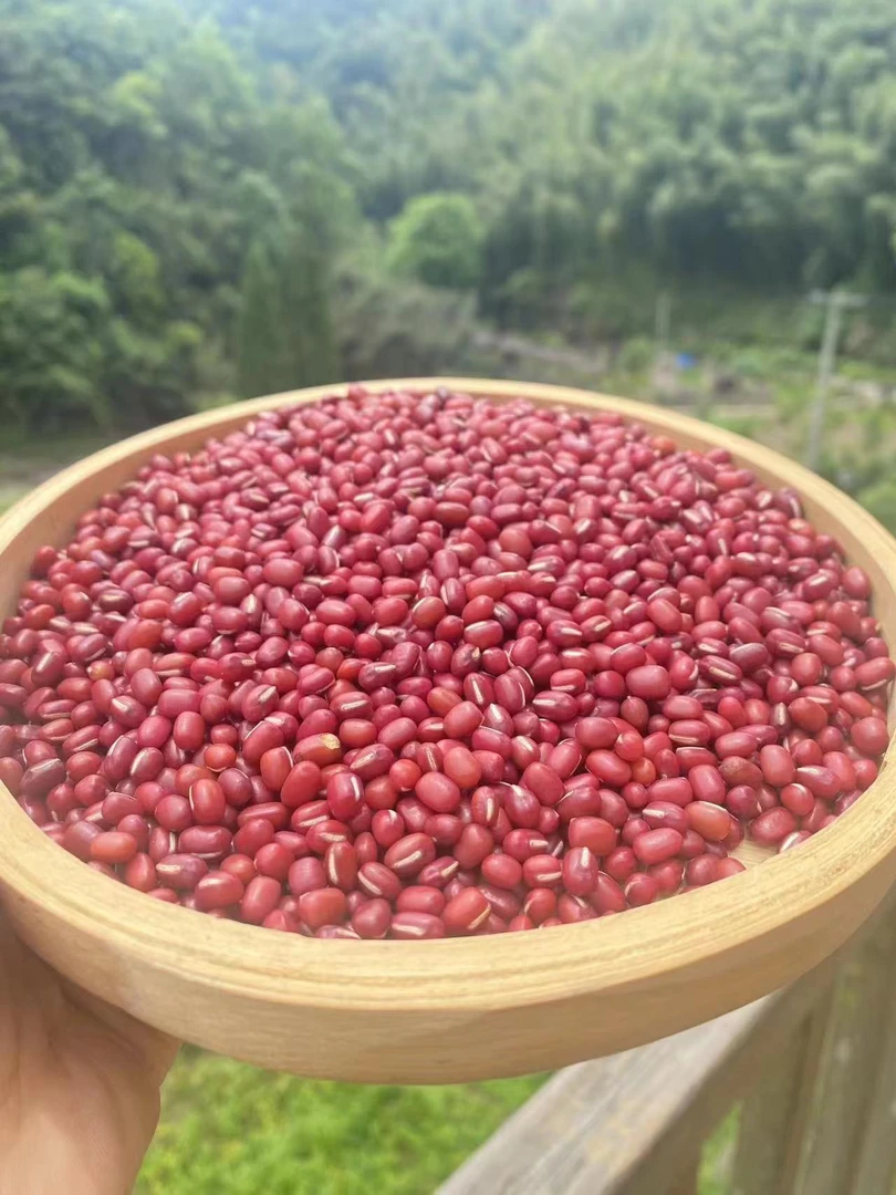 源山山货 高山 农家 红豆