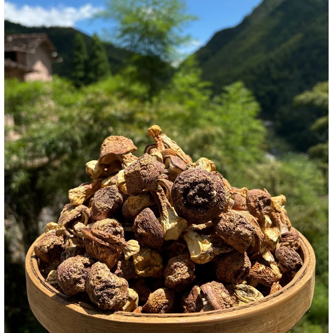 高山 土货 农家山货 姬松茸