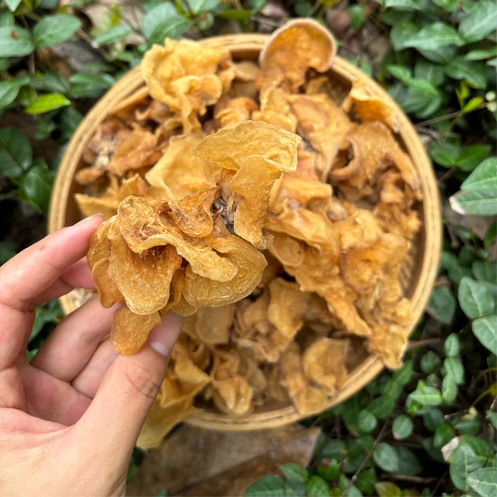 源山山货 高山 农家 羊肚耳