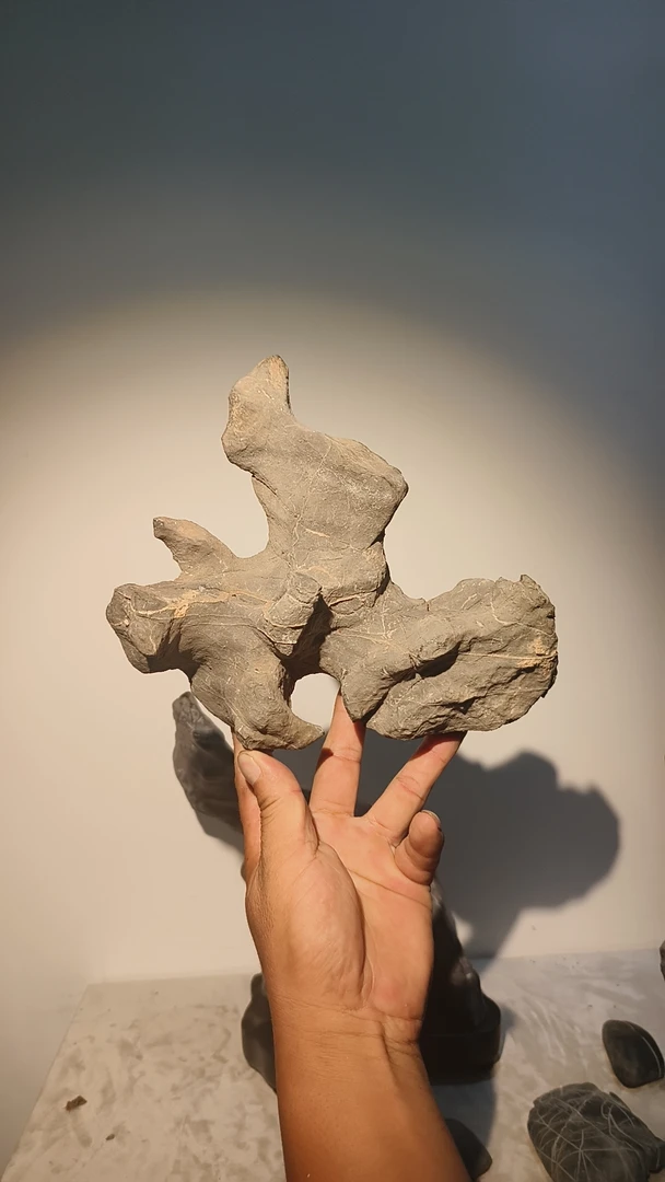 灵璧石一物一拍不包邮