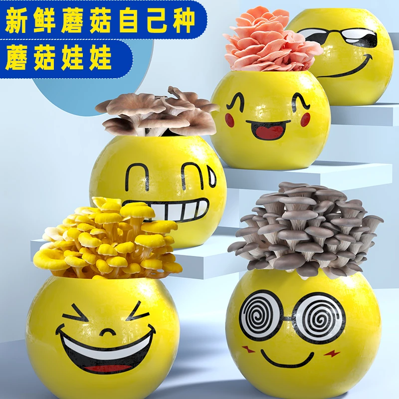 蘑菇表情娃娃平菇盒装diy盆栽蘑菇种植包菌种食用菌菌棒家庭笑脸