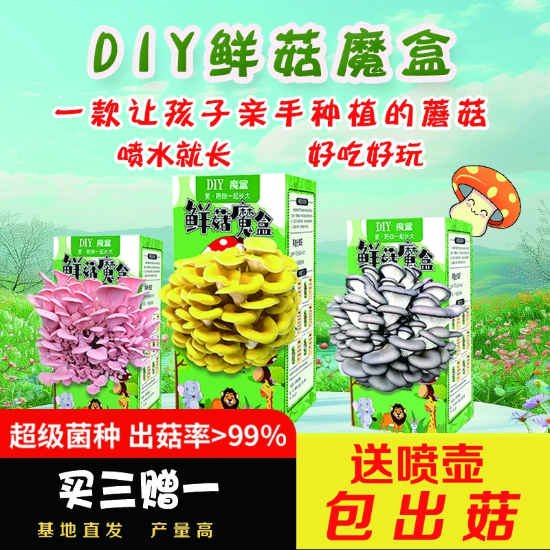 可爱种植包菌菇包菌菇食用包平菇凤尾菇可爱种子儿童种植可爱阳台