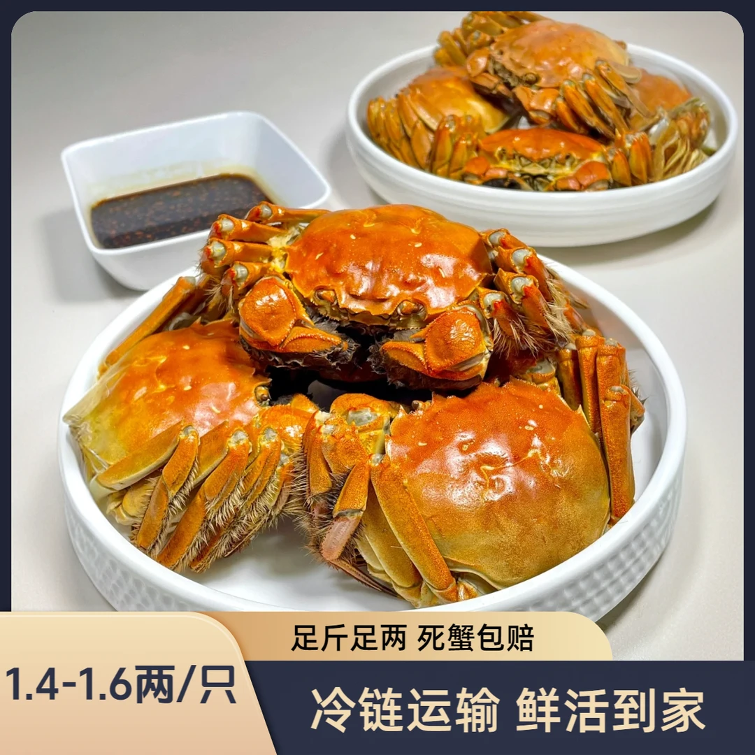 【活蟹】盘锦河蟹 全母蟹18只  (1.4-1.6两/只) 礼盒