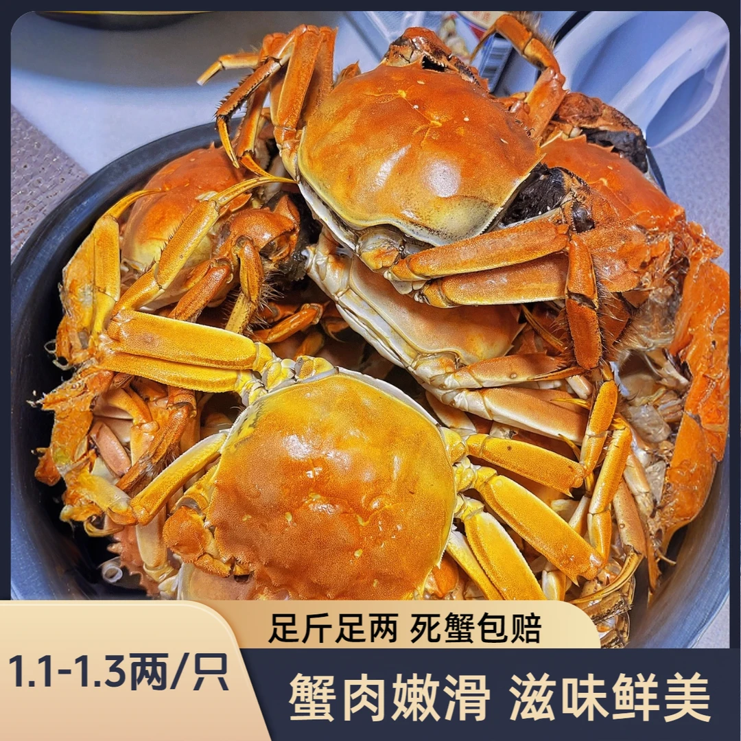 【活蟹】盘锦河蟹稻田蟹公蟹（1.1-1.3两/只）3斤装