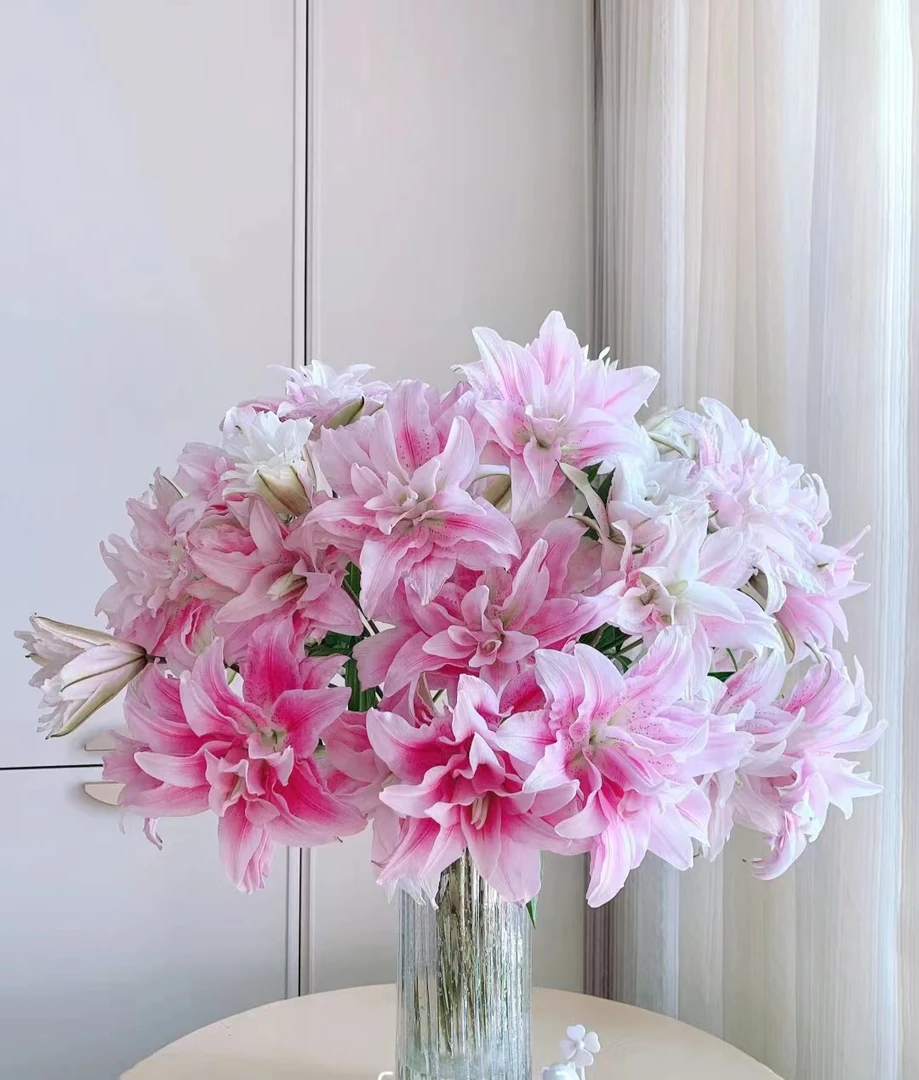 【伊莎贝拉重瓣香水百合】昆明基地鲜花直发