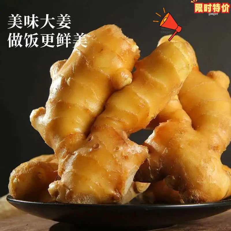 云南老姜大姜干净无土生姜蔬菜大黄姜月子姜生鲜姜高山姜1g包赔