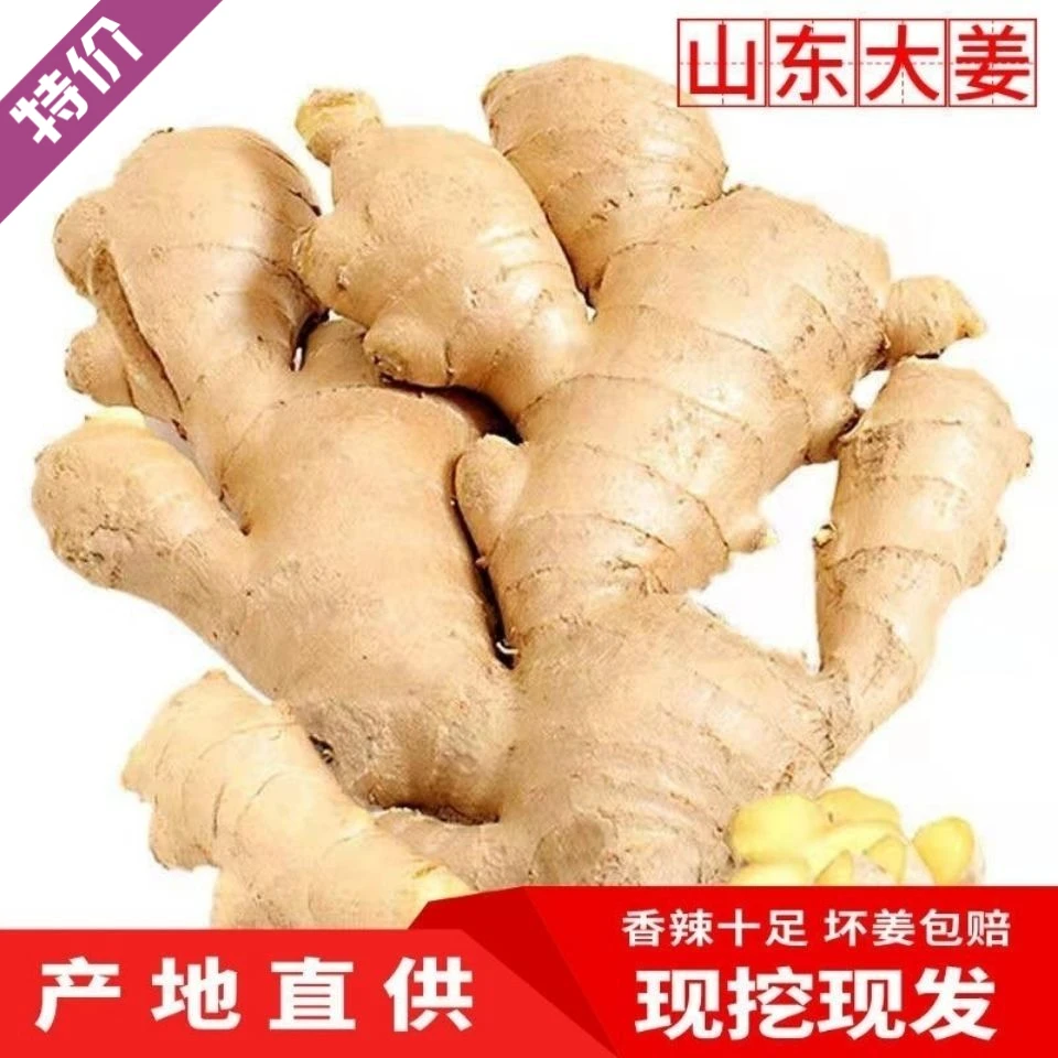 生姜老姜大姜干净新鲜生姜蔬菜大黄姜月子姜生鲜姜山东姜1g包赔