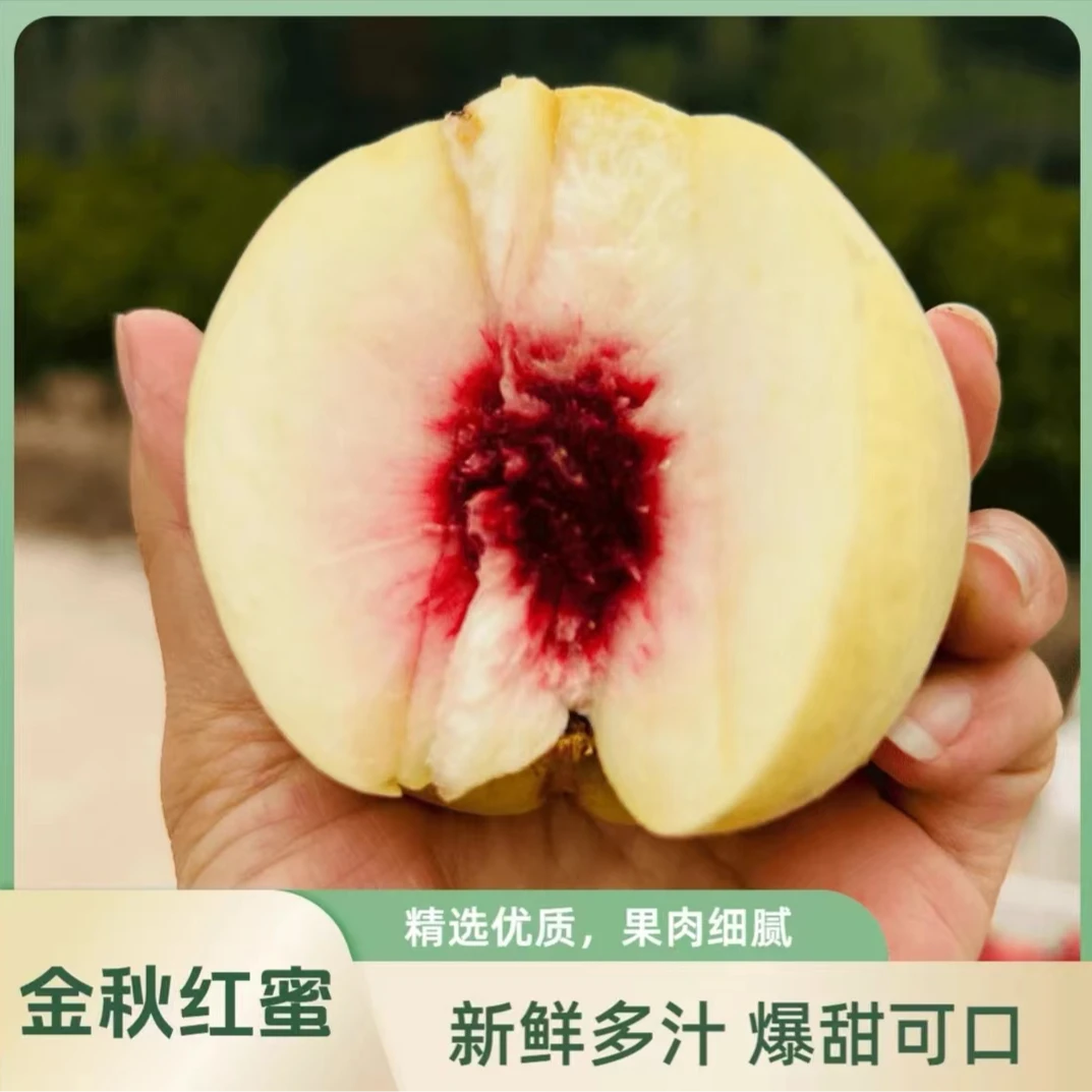 正宗金秋蜜桃脆甜冬桃子新鲜水果脆桃毛桃非水蜜桃现货现发