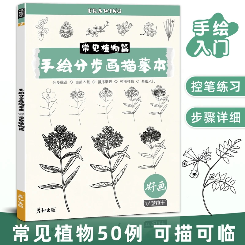 手绘分步画描摹本常见植物线稿临摹描线控笔绘画本画画儿童练习册