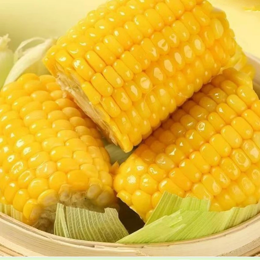 【新疆贝姐】甜脆玉米 代餐便食2500g 水果玉米