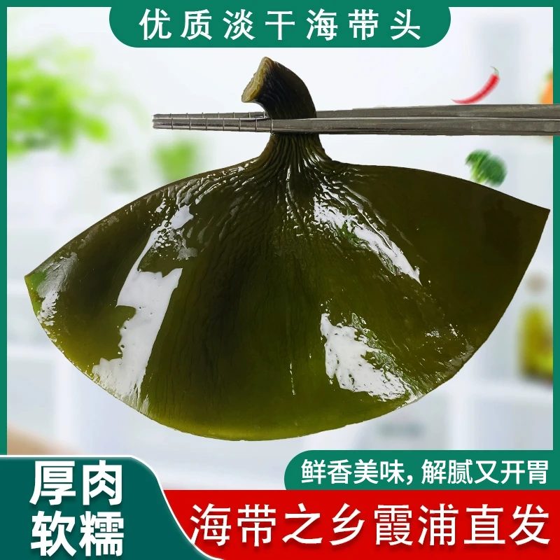 深海日晒海带头干货厚实霞浦特产新货原产地煲汤凉拌50g