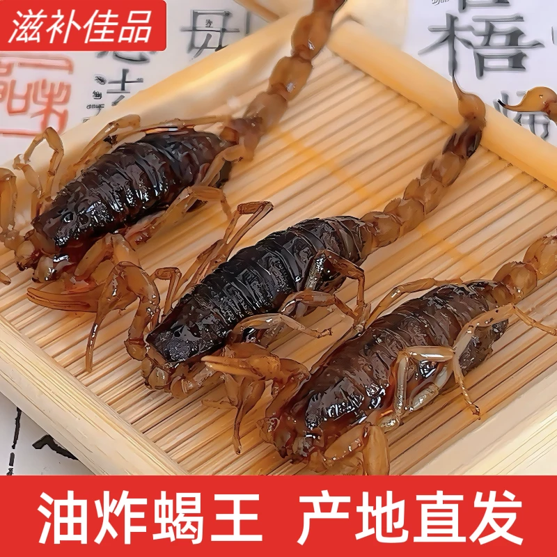 大蝎子王油炸稀缺蝎王新鲜蝎子美食昆虫美食招待下酒炸蝎子