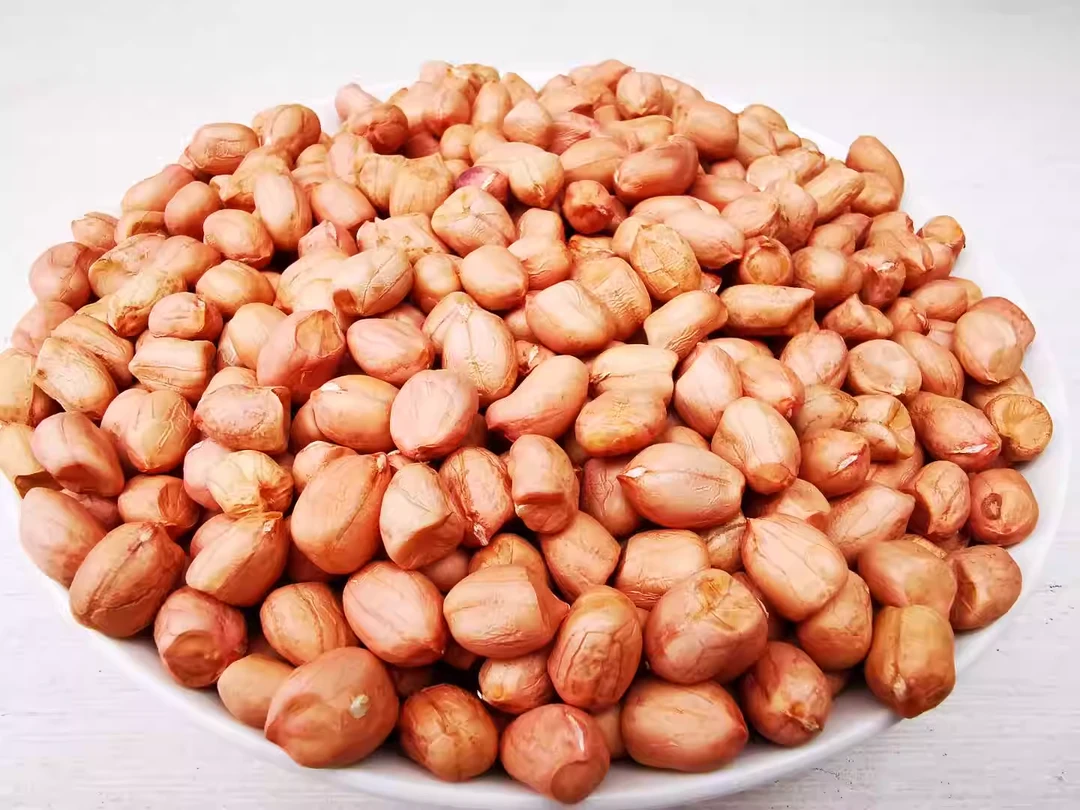 2025年大别山年农家种植老品种花生自留种循环种植生花生米可榨油