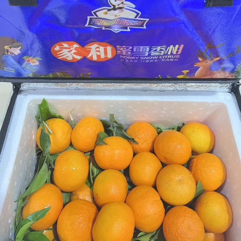 【绿野大叔】蜜雪香柑甜蜜多汁原箱6.5斤左右现货现发-顺丰包邮