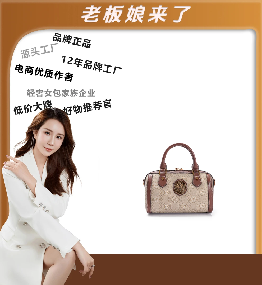 2024年包包经典时尚百搭高档夏季JY548-棕色气质轻奢女士